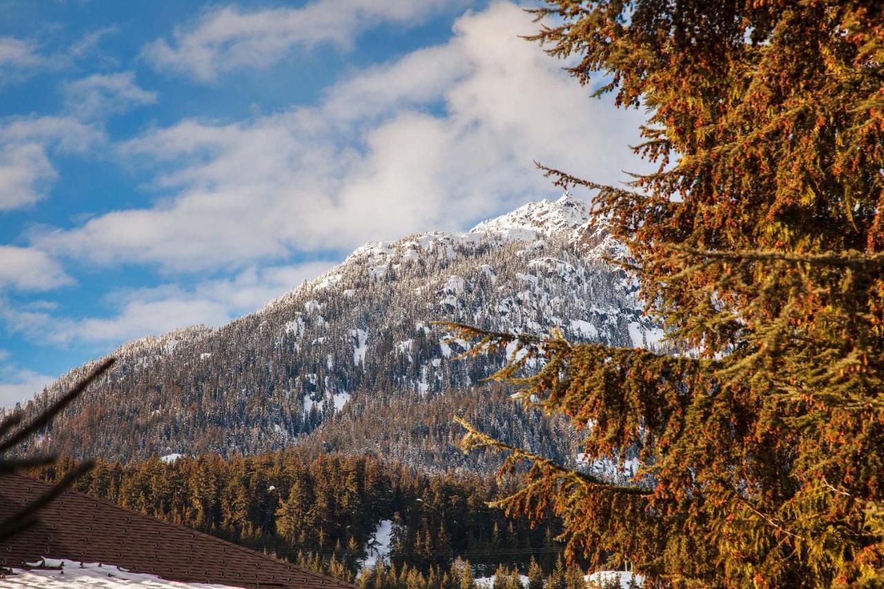 Updated Whistler Creek Studio With Parking Exterior foto
